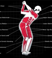 What is Golf Fitness Blog by Alex Wood of Golf Fit.co.uk